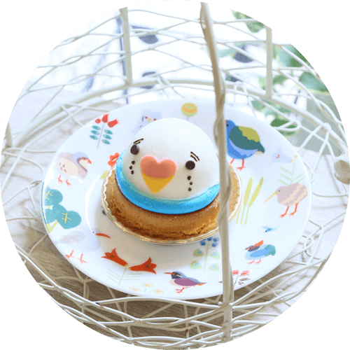 セキセイインコケーキ