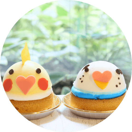 可愛いケーキデコレーション